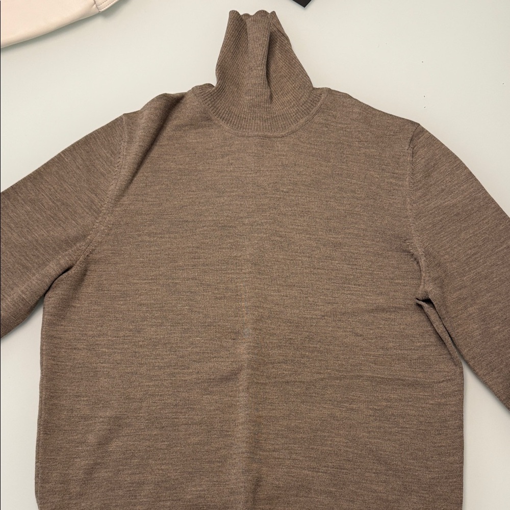Hugo Boss Taupe sise L Turtleneck Sweater Wool
